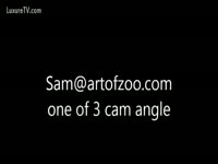 art of zoo XXX - webcam angle